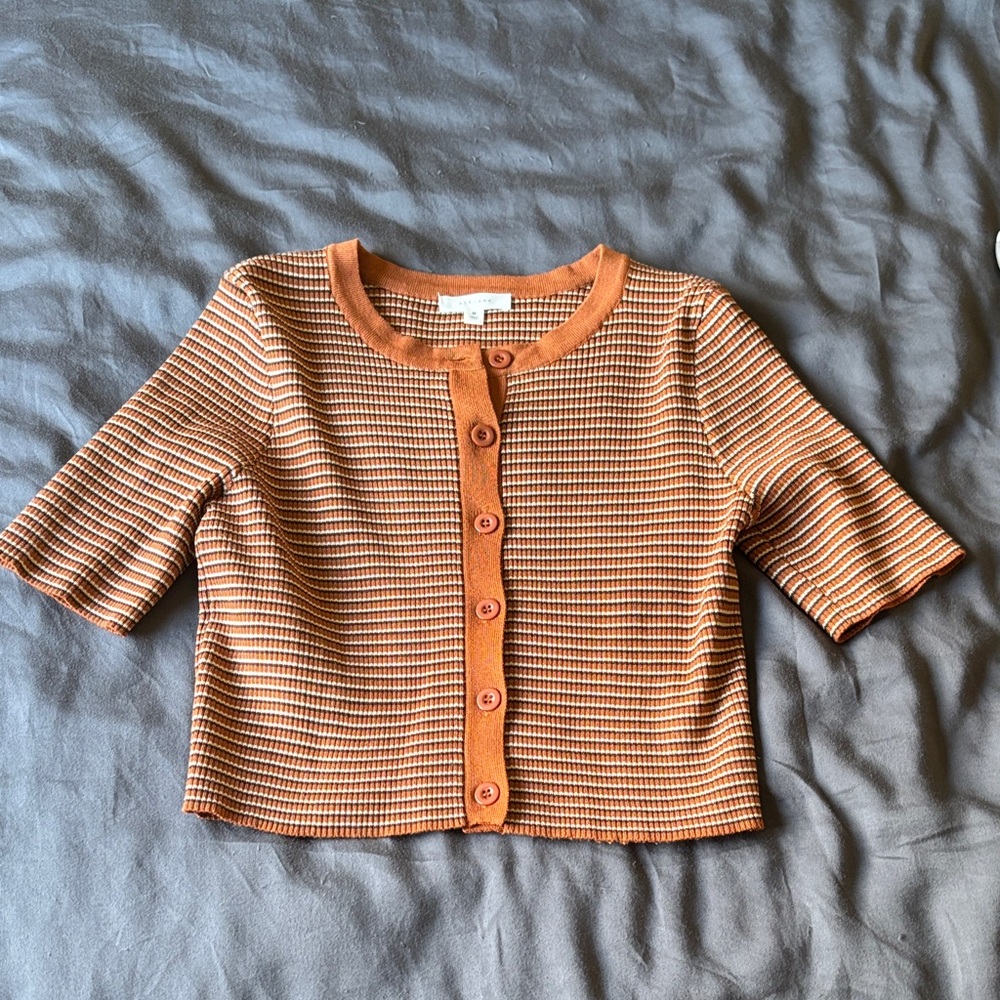 All Row Striped Burnt Orange Crop Top